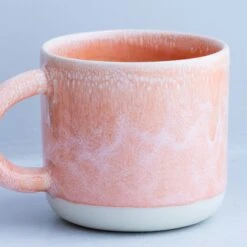 Chug Mug(Chug Mug 1) -Arhoj Chug Mugs 2025 Salmon Stream4