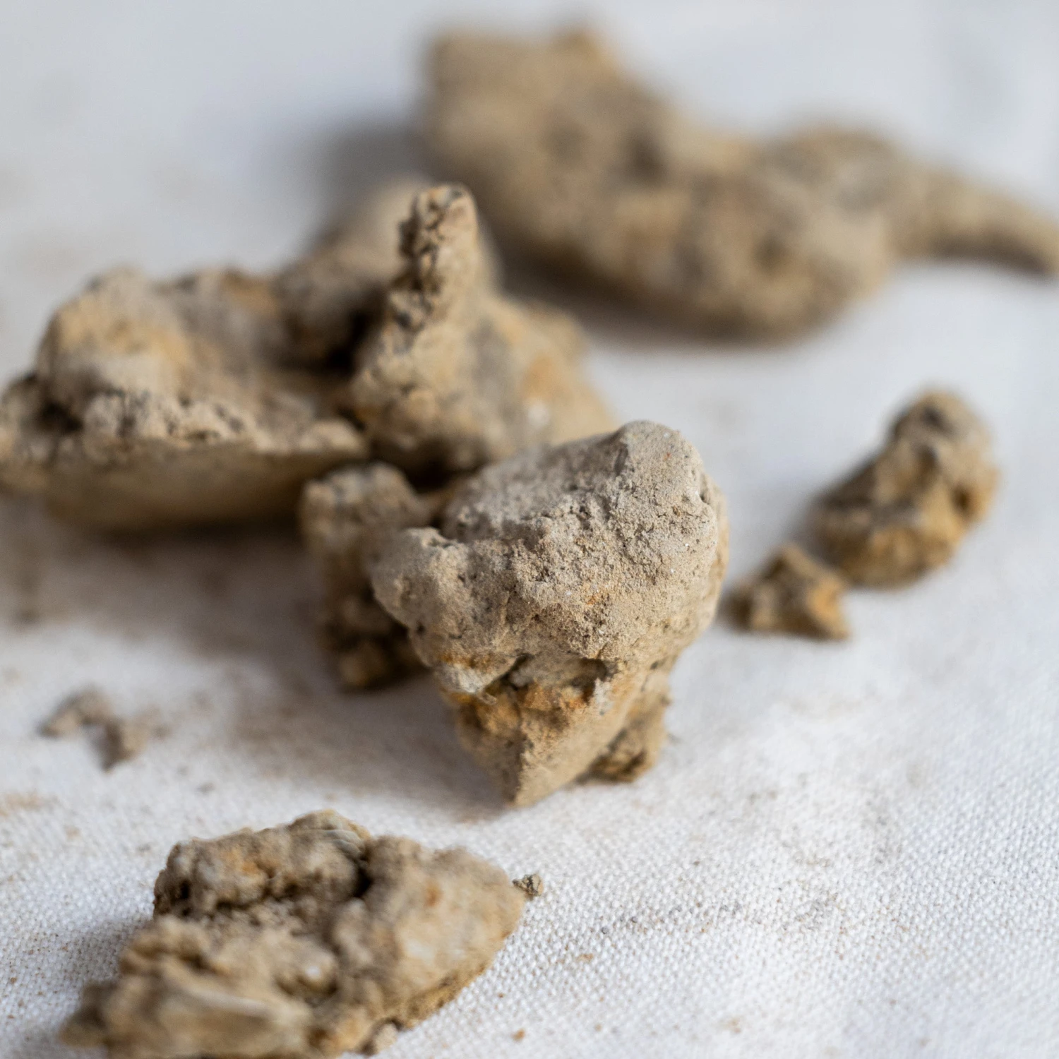 Fire Lab #18(Fire Lab 18) 10 Fire Lab #18(Fire Lab 18) - Image 10