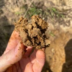 Fire Lab #18(Fire Lab 22) -Arhoj IMG 1957 1