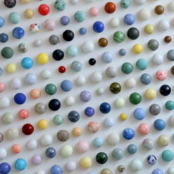 Pearl(Pearl 7) -Arhoj IMG 34892019