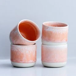 Arhoj -Arhoj Sip Cup Tokyo 2025 Salmon Stream1