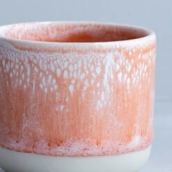 Sip Cup(Sip Cup Salmon Stream) -Arhoj Sip Cup Tokyo 2025 Salmon Stream3