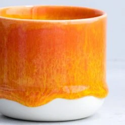 Sip Cup(Sip Cup Tropicana 1) -Arhoj Sip Cup Tokyo 2025 Tropicana3