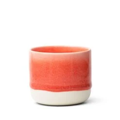 Sip Cup(Sip Cup Vermillion)