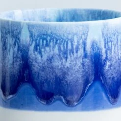 Quench Cup(Quench Cup Dolphin) -Arhoj Tokyo Quench 2025 Dolphin 2