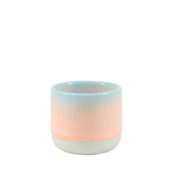 Nip Cup(Nip Cup Baby Jane)