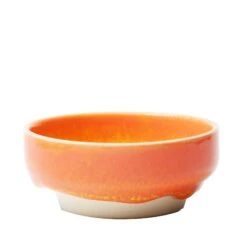 Dip Dish(Dip Dish Tropicana)
