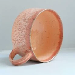 Mion Mug(Mion Mug Mamey Sapote) -Arhoj mion mamey 3