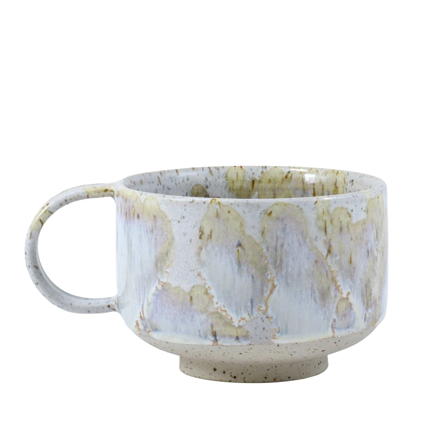 Mion Mug(Mion Mug Harbour Seal) 1 Mion Mug(Mion Mug Harbour Seal)