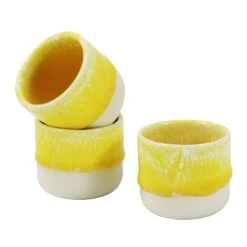 Nip Cup(Nip Cup Sun Beam) -Arhoj nip cup sun beam 2