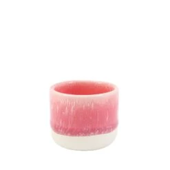 Nip Cup(Nip Cup Red Raspberry Sorbet)