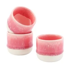 Nip Cup(Nip Cup Red Raspberry Sorbet) -Arhoj nip red raspberry sorbet 3
