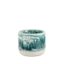 Nip Cup(Nip Cup Andromeda Green)