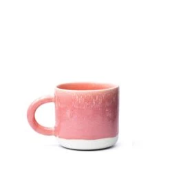 Sup Cup(Sup Cup Red Raspberry Sorbet)