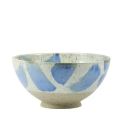 Spring Bowl(Spring Bowl Comet Rain)