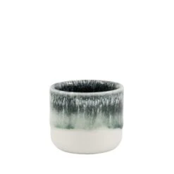 Nip Cup(Nip Cup Stargazer)