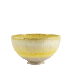 Sun Bowl(Sun Bowl Melting Daisy)