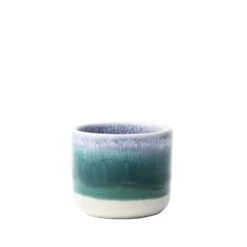 Nip Cup(Nip Cup Thistle)